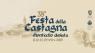 Festa Della Castagna, 38ima Edizione - Anno 2019 - Cinigiano (GR)