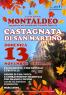 Castagnata di san Martino a Montaldeo, Edizione 2022 - Montaldeo (AL)