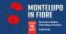 Montelupo in Fiore, Mostra Mercato Di Piante, Fiori, Giardinaggio E Artigianato - Montelupo Fiorentino (FI)