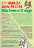 Marcia Delle Pecore, 11° Edizione - Anno 2016 - Melzo (MI)