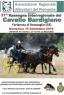 Mostra Regionale del Cavallo Bardigiano, Edizione 2019 - Rezzoaglio (GE)