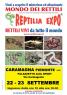 Reptilia Expo: L'affascinante Mondo Dei Rettili , Rettili Vivi Da Tutto Il Mondo In Mostra A Caramagna Piemonte - Caramagna Piemonte (CN)