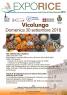 Festa della Zucca e del Riso a Vicolungo, I Sapori Della Sagra Autunnale - Vicolungo (NO)