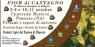 Fior di Castagno, II edizione Castagne in allegria - Pimonte (NA)