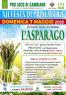 Festa di primavera a Cambiano, Tradizioni E Sapori: L'asparago A Cambiano - Cambiano (TO)