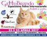 Gattobrando, Esposizione Felina Internazionale - Cison Di Valmarino (TV)