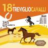 Treviglio Cavalli, La Rassegna Dedicata Al Mondo Del Cavallo - Treviglio (BG)