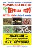 Reptilia Expo , Rettili Vivi Da Tutto Il Mondo In Mostra In Valle D'aosta - Chatillon (AO)