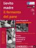 Personale Di Andrea Imbrauglio, Lievito Madre. Il Fermento Del Pane - Crotone (KR)