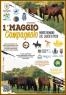 1° Maggio Campagnolo A Monte Romano, A Lasco Di Picio Nelle Campagne Monteromanesi - Monte Romano (VT)