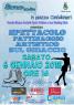 Seveso On Ice, Spettacolo Di Pattinaggio Artistico Su Ghiaccio - Seveso (MB)