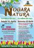 Nogara Natura, La Natura Che Vive...la Natura Che Crea - Nogara (VR)