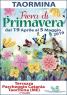 La Fiera Di Primavera A Taormina, Edizione 2019 - Taormina (ME)