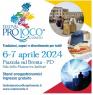 Il Festival Delle Pro Loco Del Veneto A Piazzola Sul Brenta, Edizione 2024 - Piazzola Sul Brenta (PD)