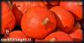 Mercato Settimanale Di Pescolanciano, Il Luogo In Cui Trovare Ortaggi, Frutta E Verdura, Gastronomia, Prodotti Del Territorio - Pescolanciano (IS)