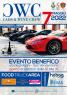 Cars & Wine Event Raduno Automobilistico  Da Tutto Esaurito, San Vendemiano 7 Maggio 2022 - San Vendemiano (TV)