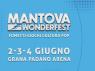 Wonderfest A Mantova, Fumetti Giochi E Cultura Pop - Mantova (MN)