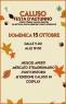 La Festa D'autunno A Caluso, Edizione 2023 - Caluso (TO)