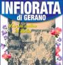 Infiorata Di Gerano, Festa Della Madonna Del Cuore - Gerano (RM)