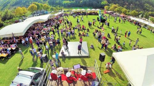 Mostra Mercato Regionale Del Cavallo - Cantiano