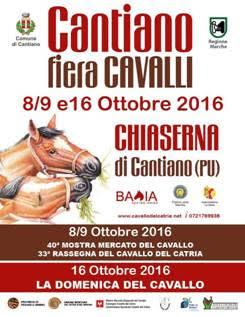 Mostra Mercato Regionale Del Cavallo - Cantiano