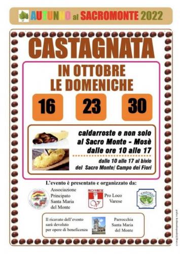 Castagnata A Varese  - Varese