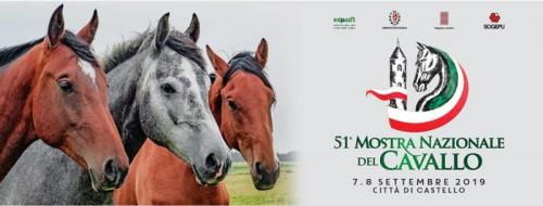 Mostra Nazionale Del Cavallo - Città Di Castello