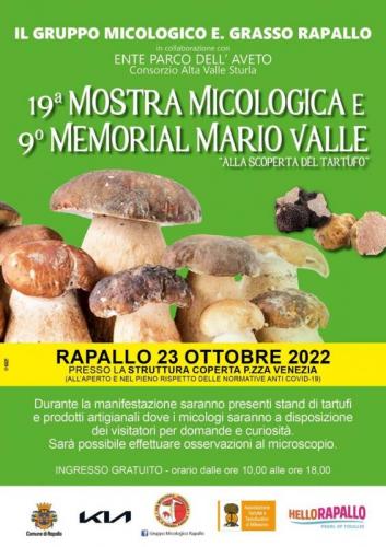  Mostra Micologica A Rapallo - Rapallo