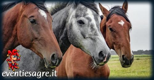 Festa Del Cavallo A Scurtabò - Varese Ligure