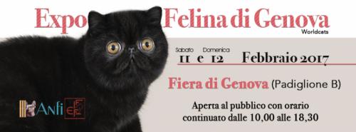 Mostra Internazionale Felina - Genova