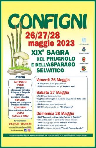 Sagra Del Prugnolo E Dell'asparago Selvatico - Configni