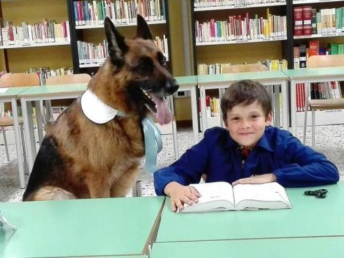 Cani E Ragazzi A Scuola - Verona