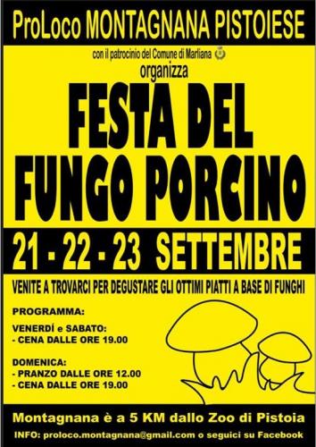 Festa Del Fungo Porcino - Marliana