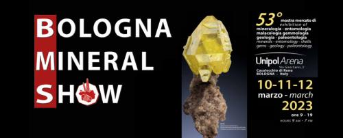Bologna Mineral Show - Casalecchio Di Reno