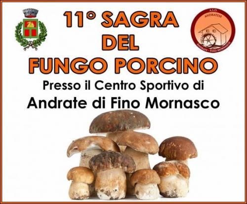 Sagra Del Fungo Porcino - Fino Mornasco