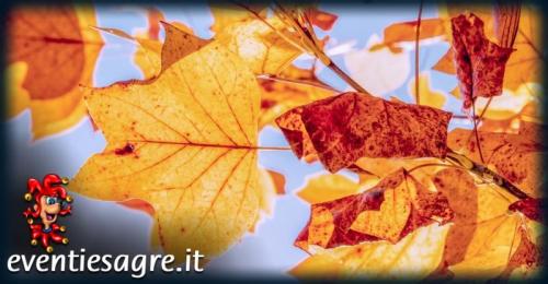 Festa D'autunno  - Albano Di Lucania