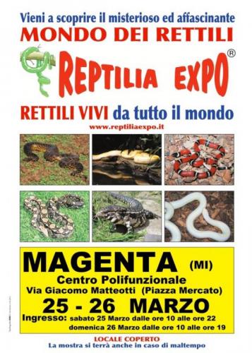 Reptilia Expo - Magenta