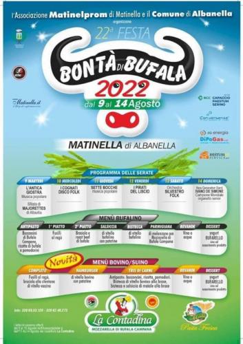 Festa Delle Bontà Di Bufala Di Albanella - Albanella