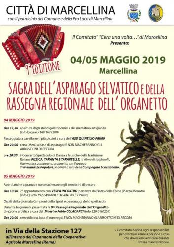 Sagra Dell'asparago Selvatico A Marcellina - Marcellina