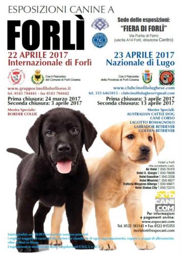 Esposizione Canina Internazionale Di Forlì - Forlì