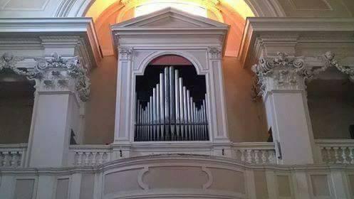 World Organ Day - Pesaro