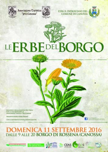 Le Erbe Del Borgo - Canossa