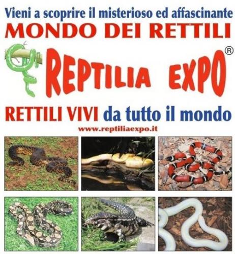 Reptilia Expo - L'affascinante Mondo Dei Rettili - Vinci