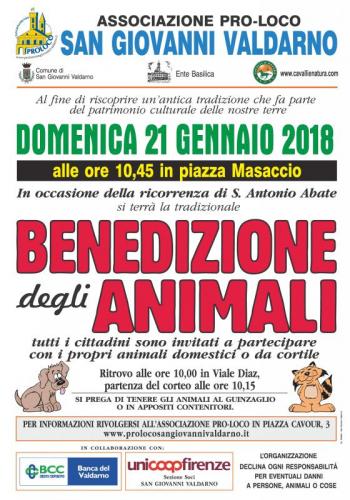Benedizione Degli Animali - San Giovanni Valdarno