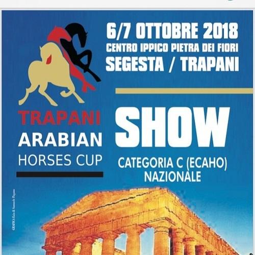 Trapani Arabian Horses Cup - Buseto Palizzolo