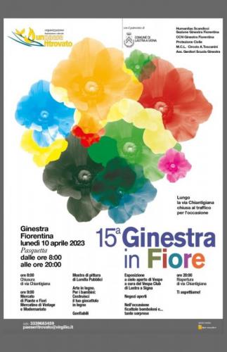Ginestra In Fiore - Lastra A Signa