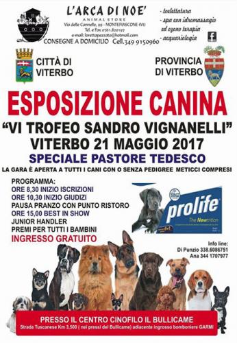 Esposizione Canina - Viterbo
