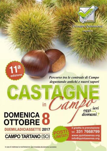 Castagne In Campo - Tartano