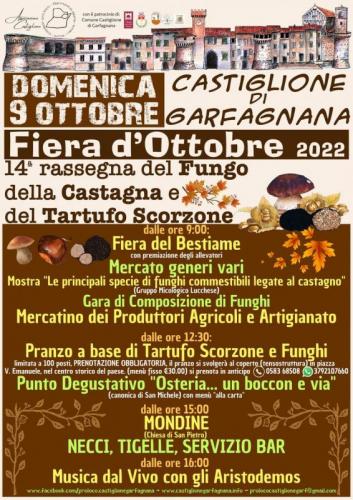 Fiera D'ottobre A Castelnuovo Di Garfagnana - Castelnuovo Di Garfagnana