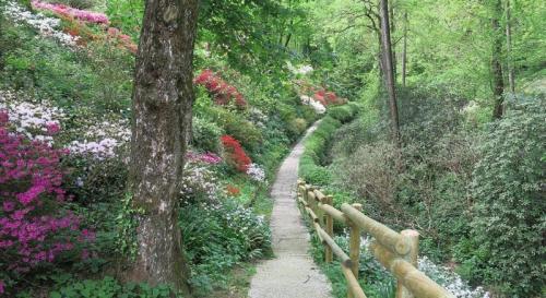 Giardino Botanico Viatori - Gorizia